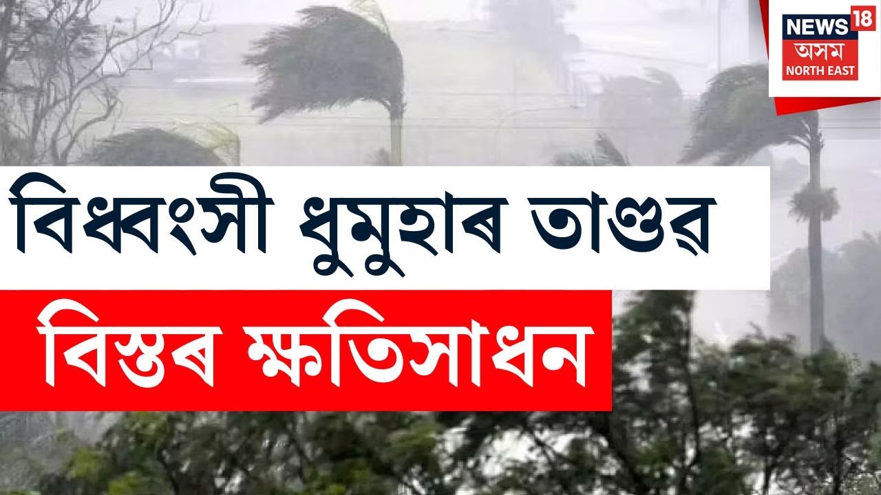 Storm in Assam | ৰাজ্যত চৌদিশে এতিয়া ধুমুহা বৰষুণৰ তাণ্ডৱ,  Dibrugarhতো বিস্তৰ ক্ষতিসাধন