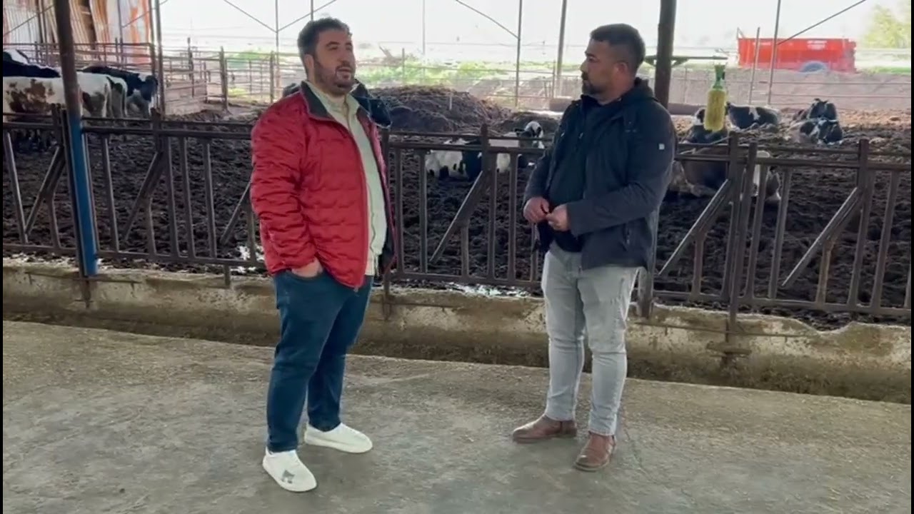 Mikotoksin Zorlukları-Ruminant Üreticilerinden Saha Deneyimleri