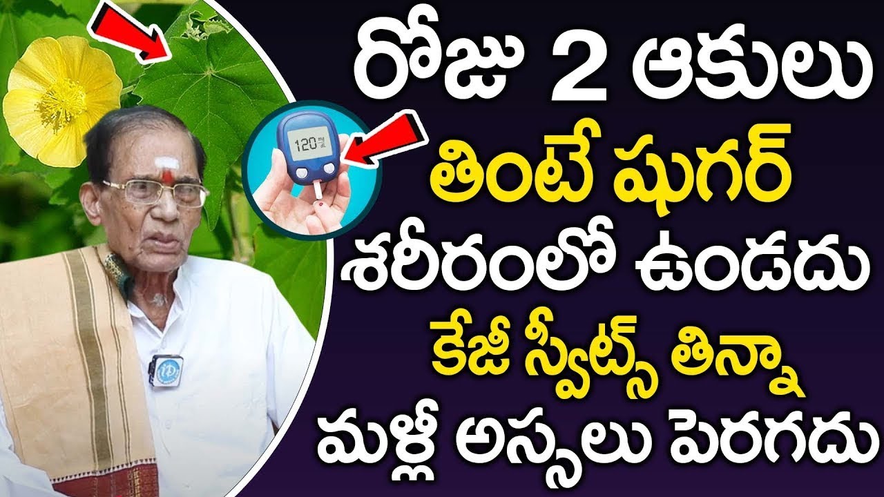 2 ఆకులు షుగర్ శాశ్వతంగా పోతుంది Diabetes Tips | Atibala Plant Leaves | Dr BA Venkata Swamy