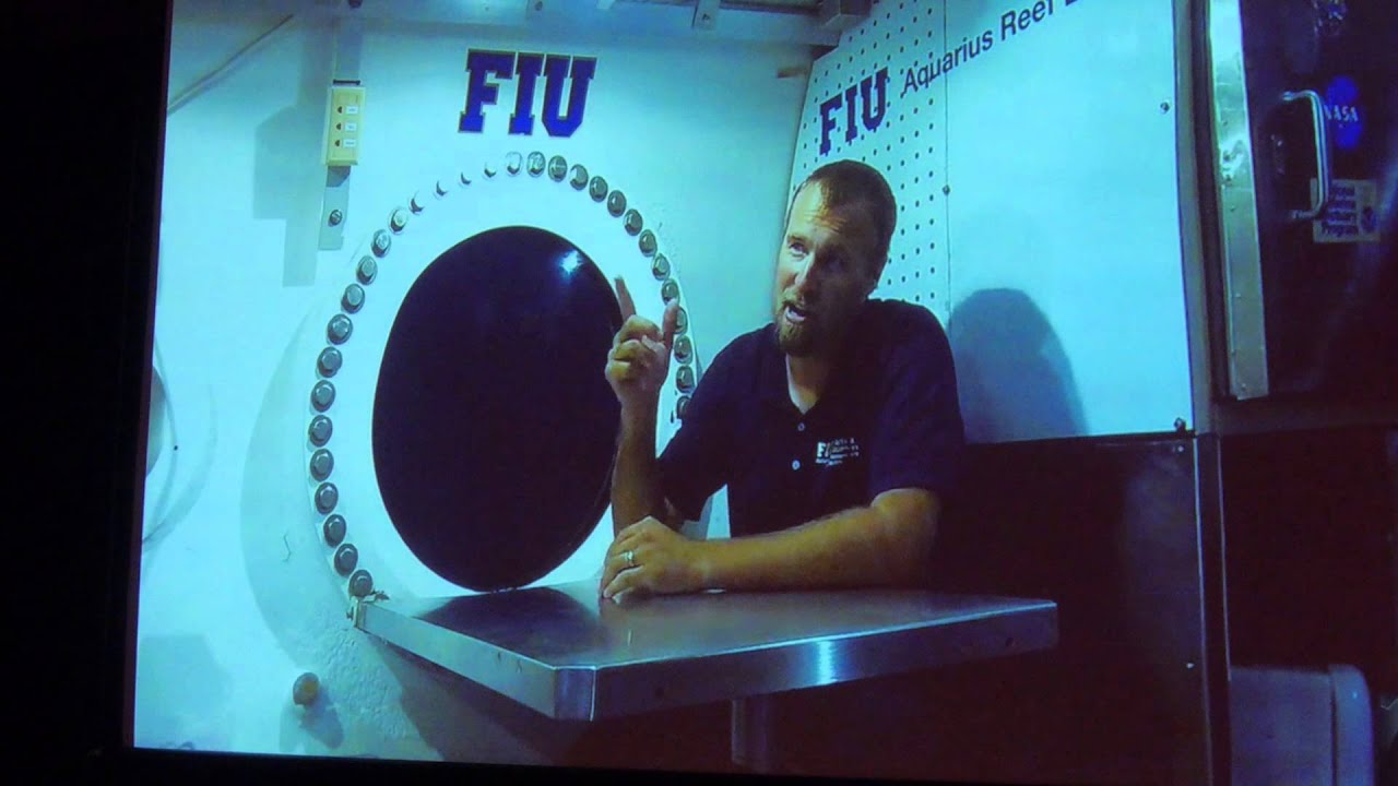 Жизнь в подводной морской лаборатории | Дерон Беркпайл и Майкл Хейтхаус | TEDxFIU