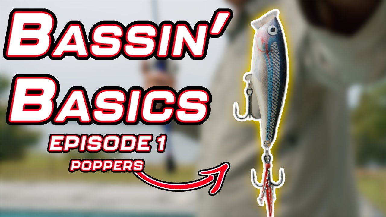 Bassin’ Basics - Эпизод 1 - (POPPERS)