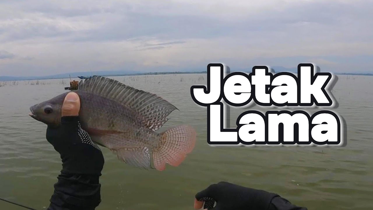 WGM || JETAK LAMA MASIH ADA YANG SEGINIAN