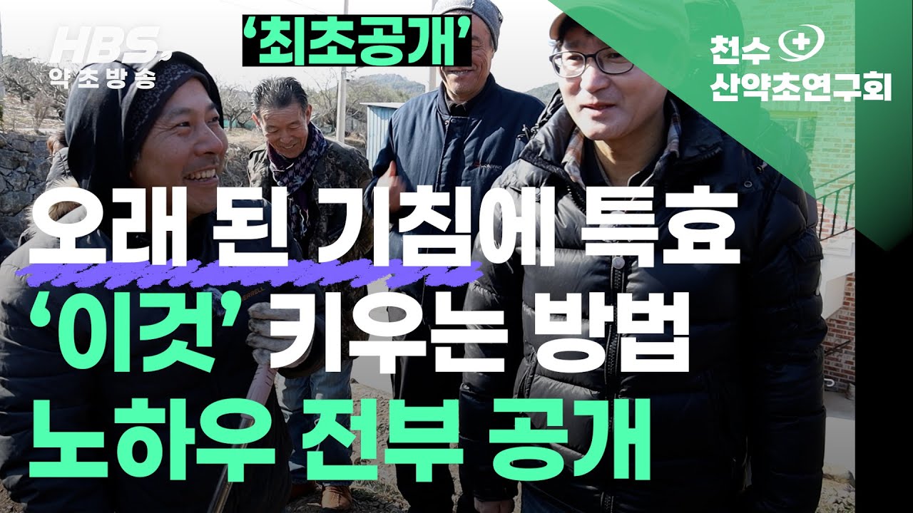 오래된 기침에 특효 '이것 '키우는 방법 노하우 전부 공개