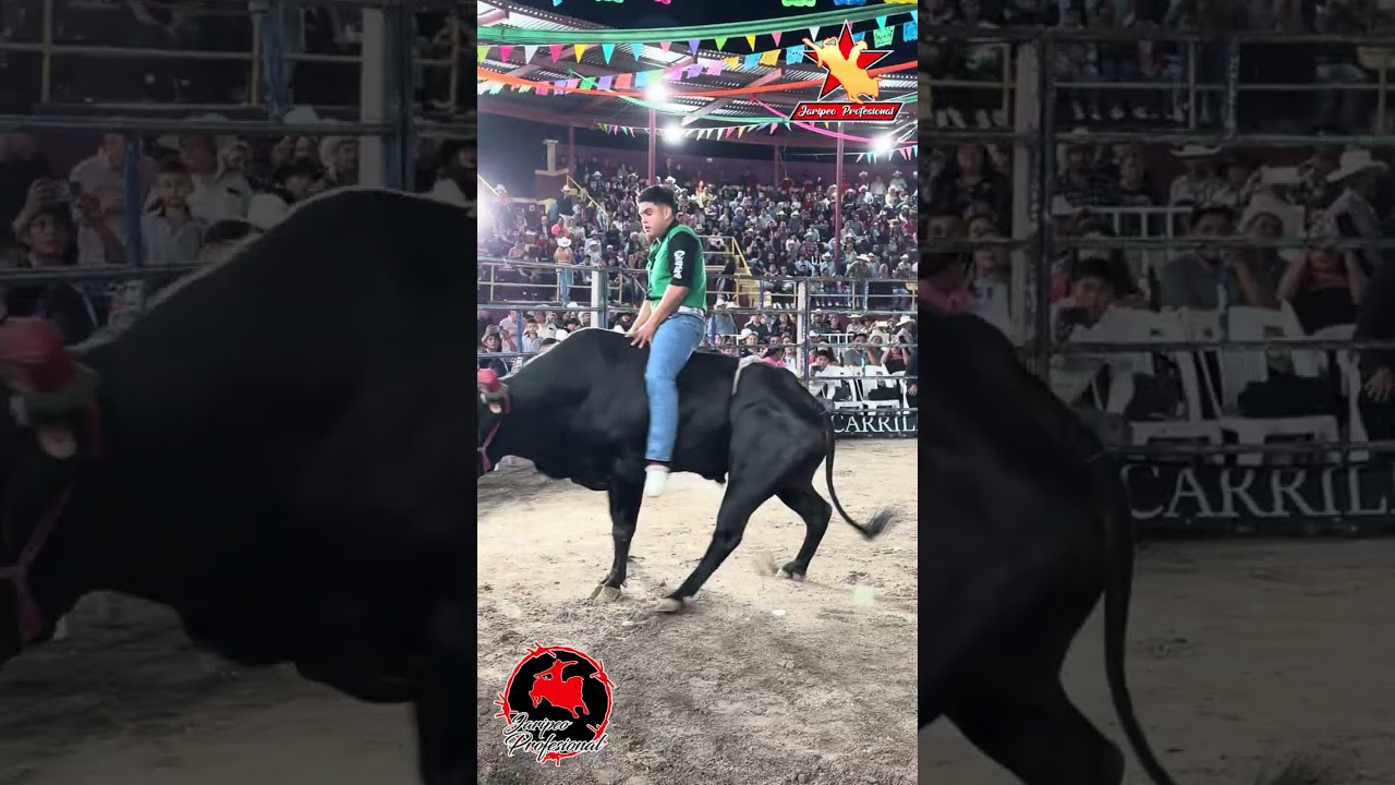 Jaripeo en Amacuzac Morelos Carrillo Fest 2026