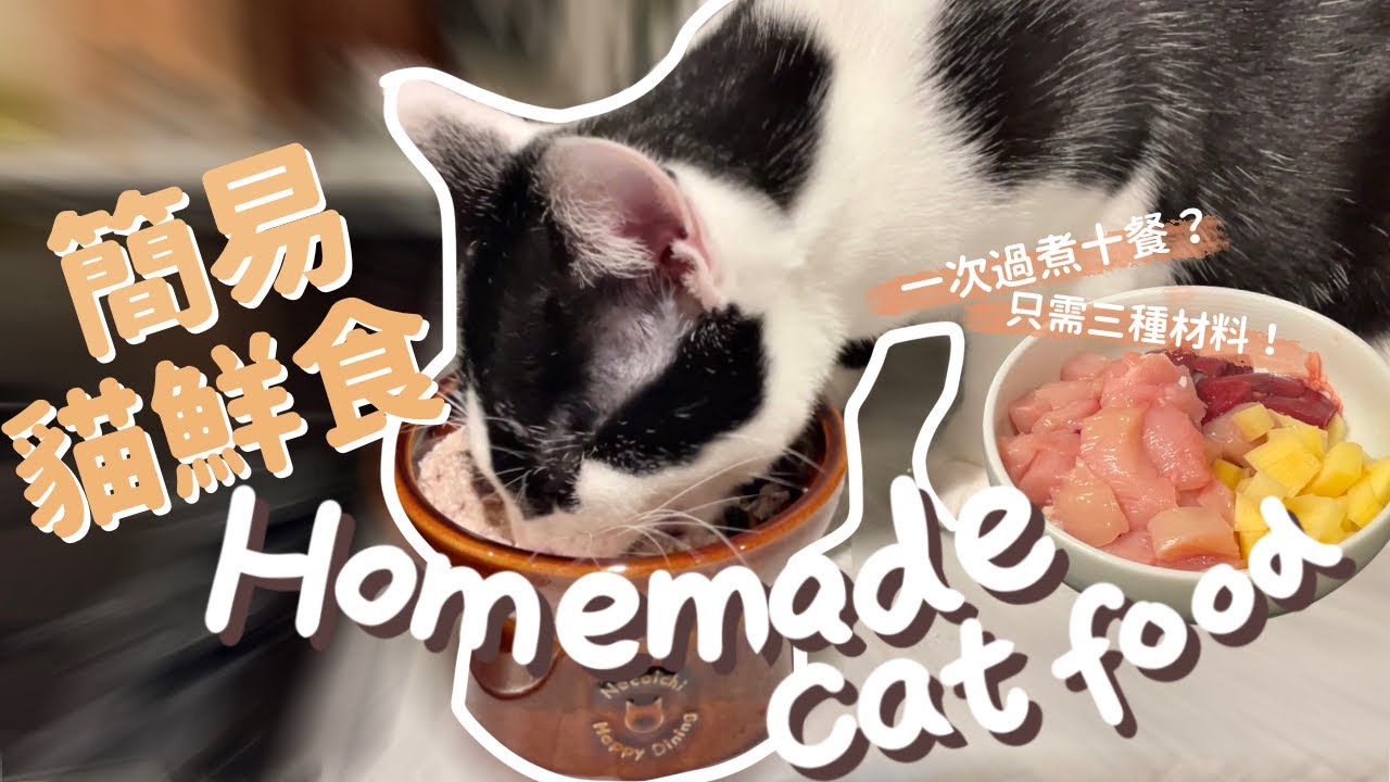 【貓鮮食食譜】一次煮十餐只需三樣材料？簡易貓咪雞肉餐| Homemade cat food recipe (beginner friendly!)