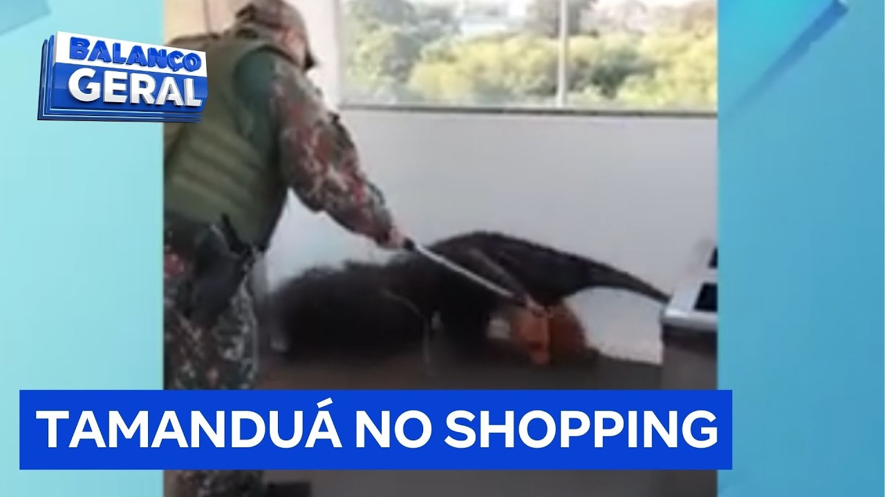 Polícia Ambiental retira tamanduá de shopping após susto em clientes