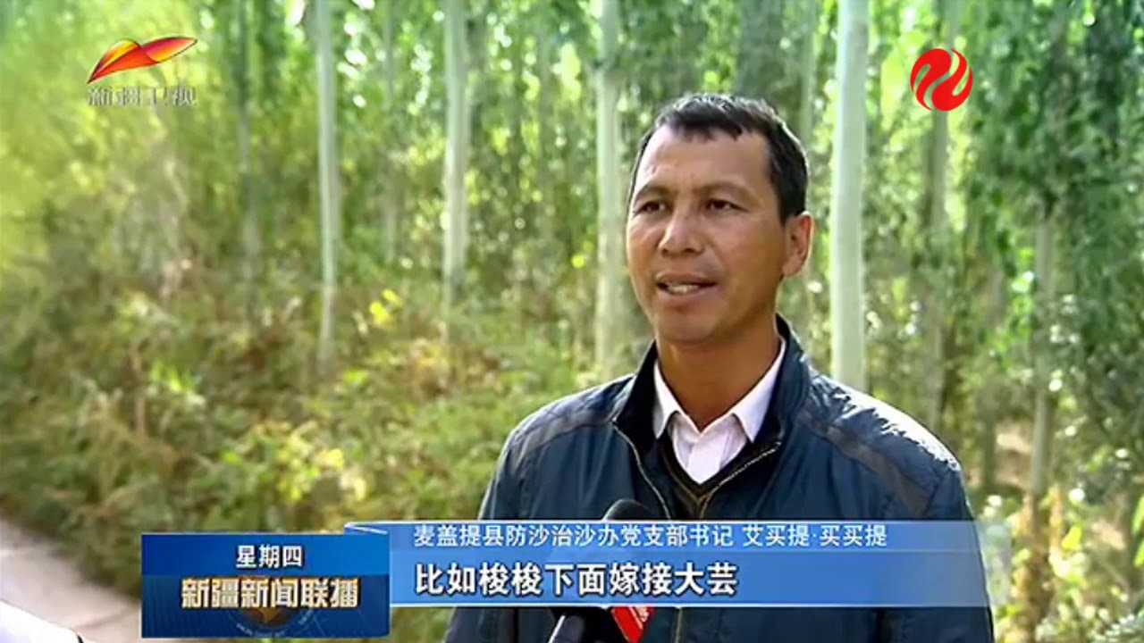 2019 10 24 新疆麥蓋提縣_植樹造林改造沙漠生態_農民畫描繪美麗村!! China XinJiang