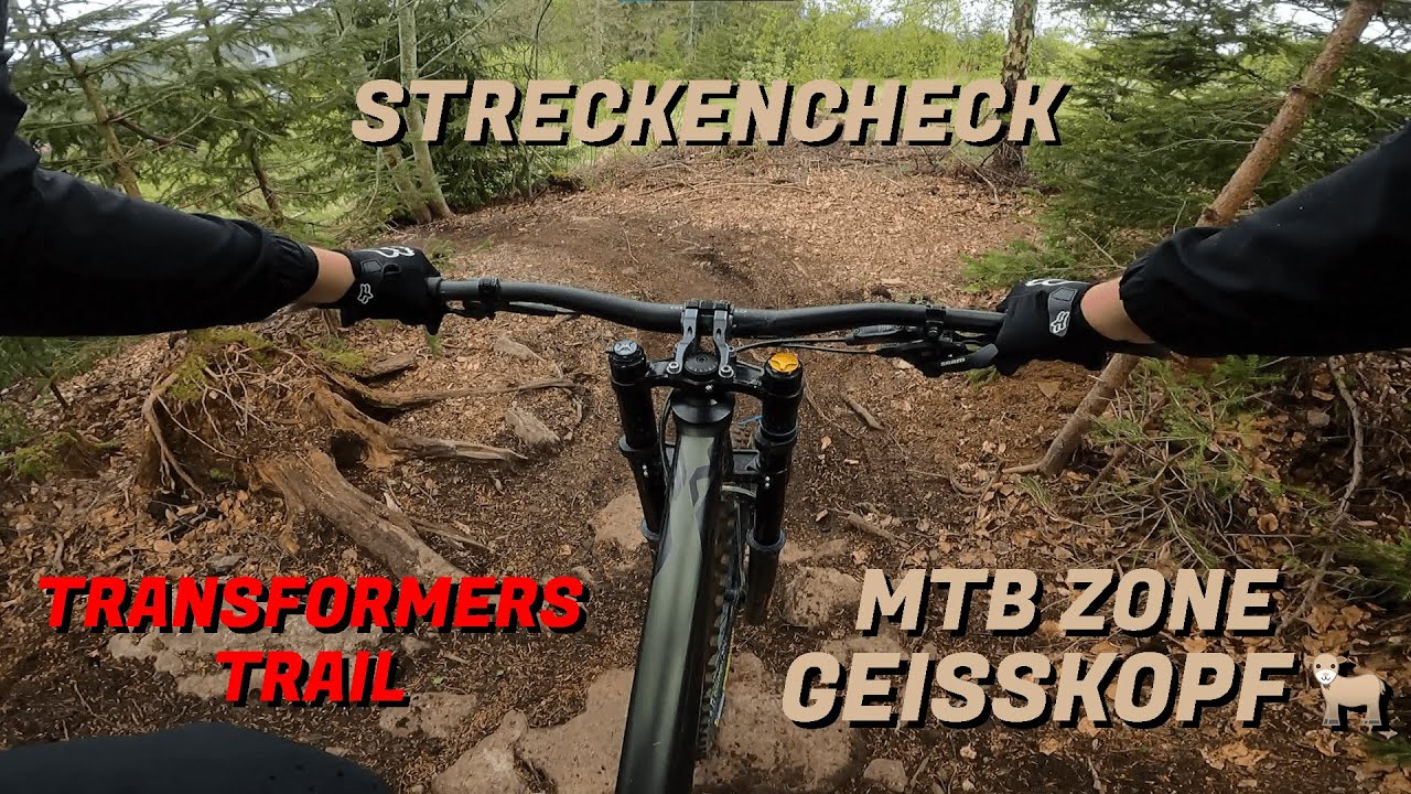 GEISSKOPF STRECKENCHECK - Transformers | Alexander Knauseder