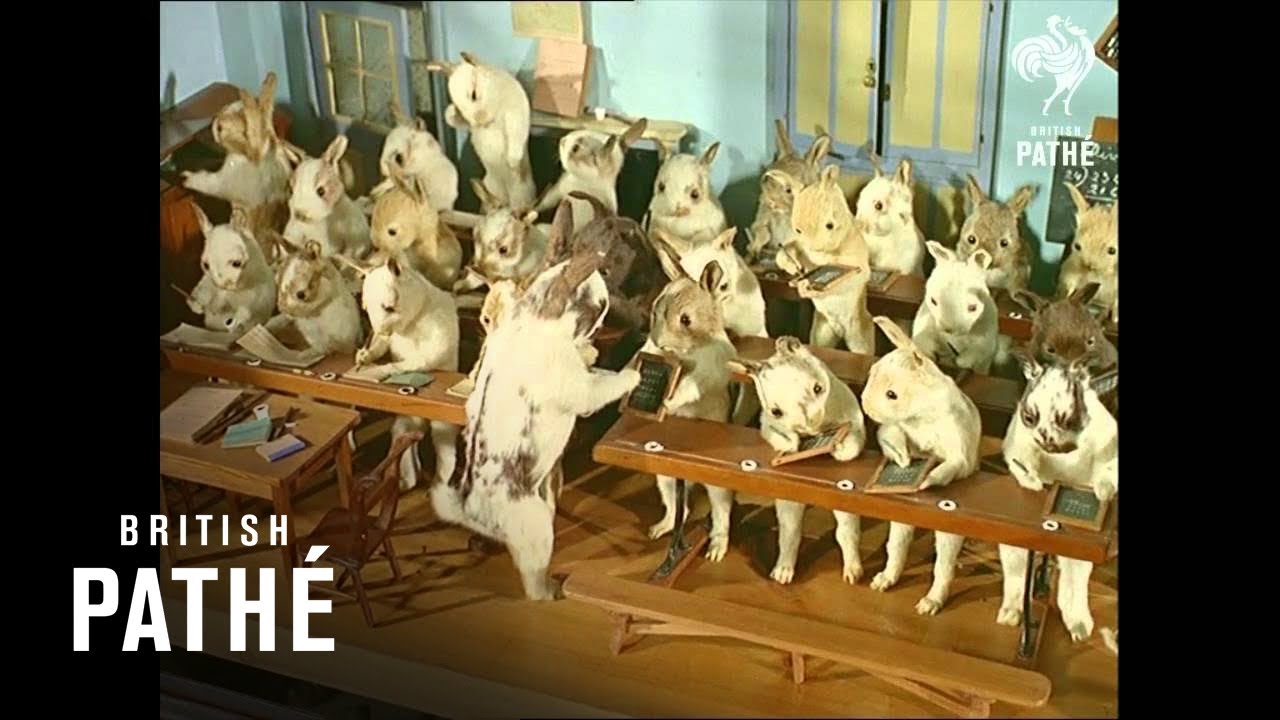 Crazy Taxidermy Museum - Stuffed Animals in Costumes (1965)