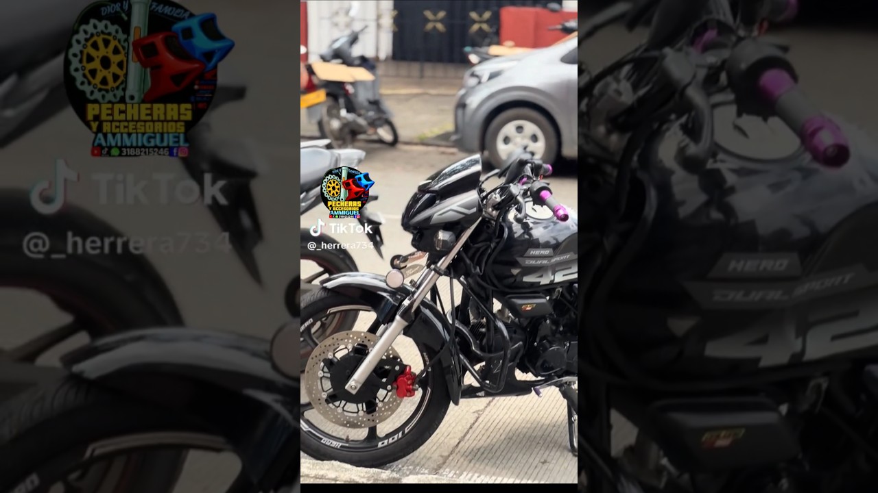 eco deluxe con su pechera y porta  alforjas bien grosera #ecodeluxe #eco1000rr #lujosparamoto #motos