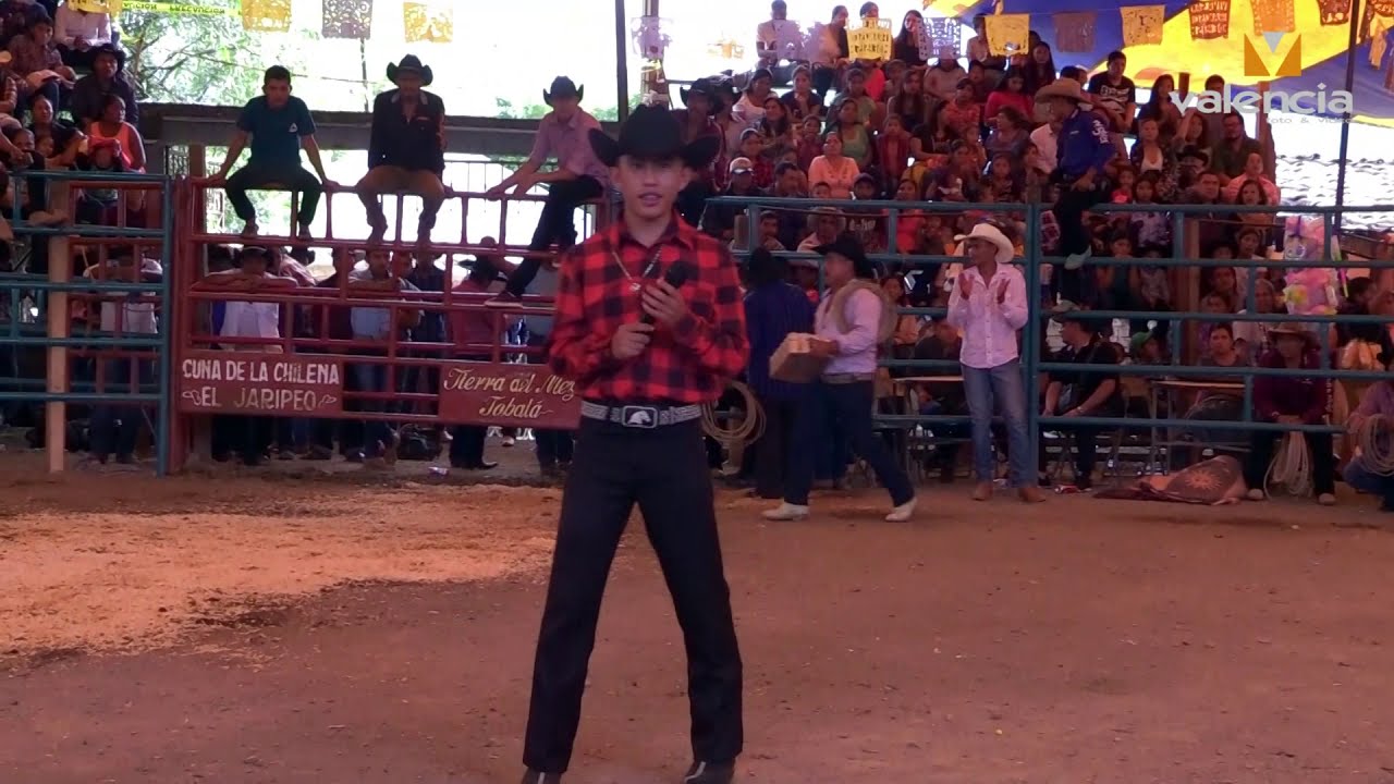 El Gallito de oaxaca