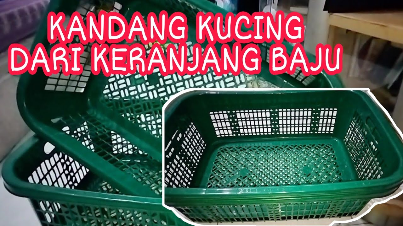 KANDANG KUCING EKONOMIS BANGET