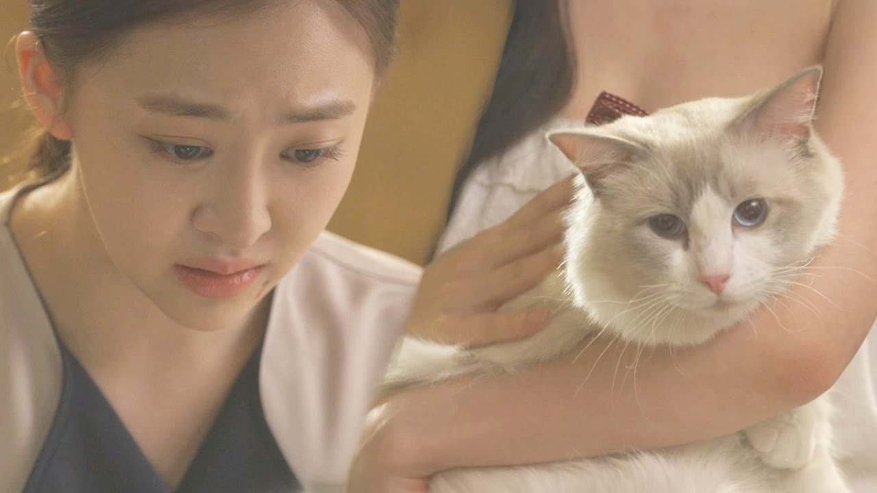 다솜, 고양이에 무릎 꿇으며 &lsquo;굴욕적인 사과&rsquo; @언니는 살아있다 1회 20170415