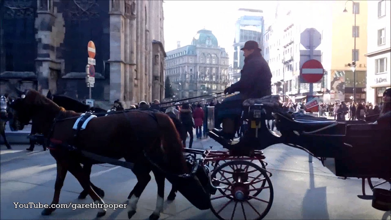 Vienna Fiacres at Stephansplatz