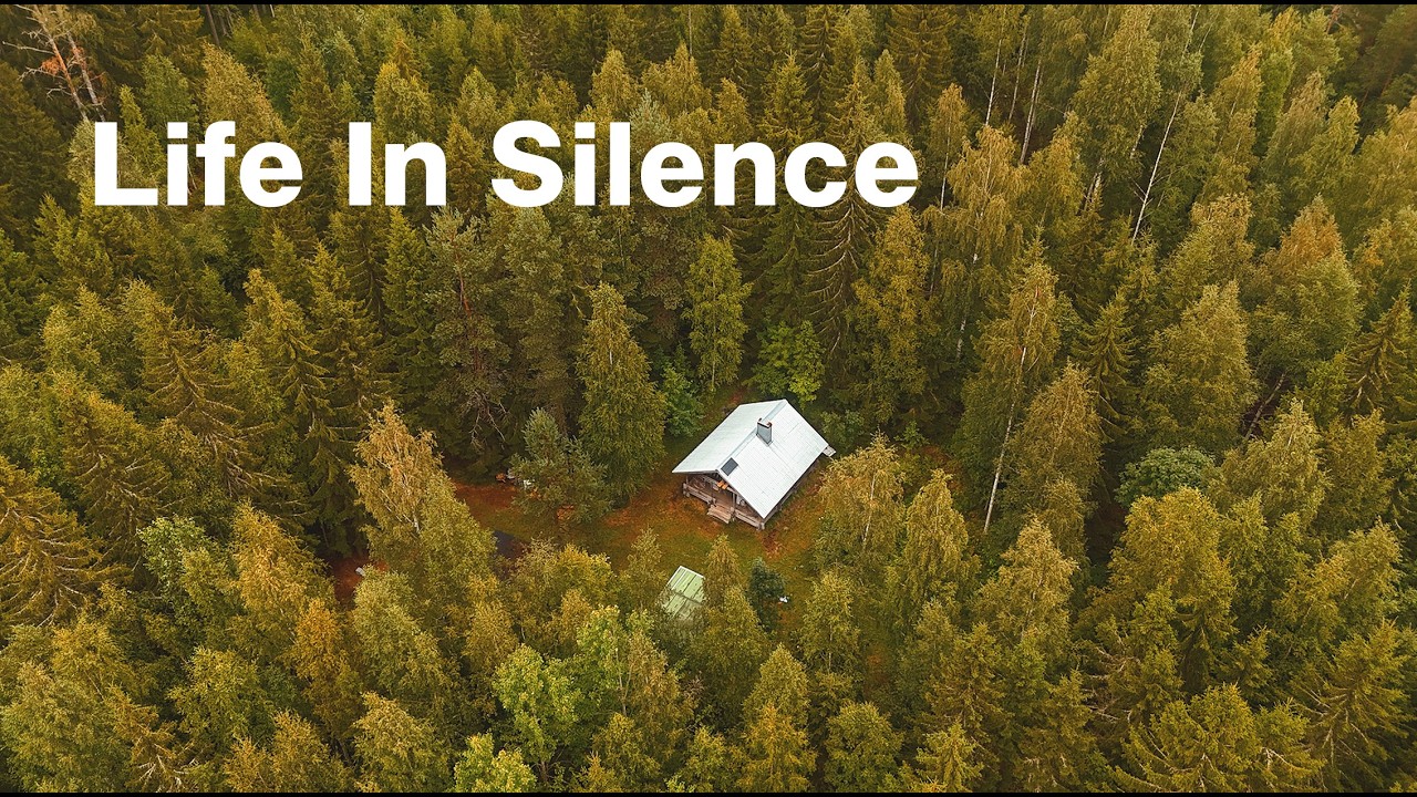 I Saved an Abandoned Log Cabin in Finland with My 2 Cats EP42