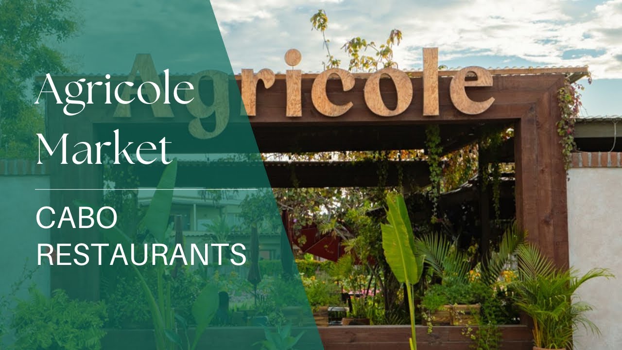 Cabo Restaurants: Sustainable Farming at Agricole Food Hall & Restaurant Pescadero
