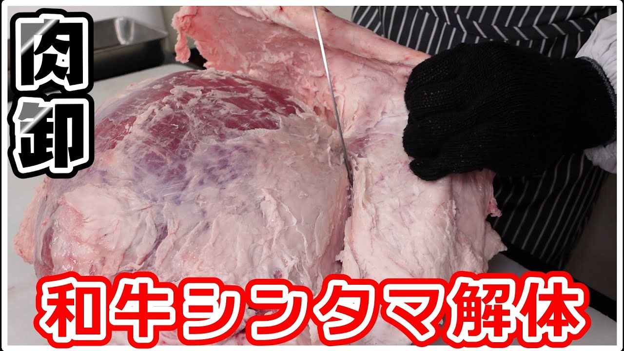 【和牛シンタマ解体】肉卸がシンタマを解体･整形･肉磨き★肉音ASMRも！