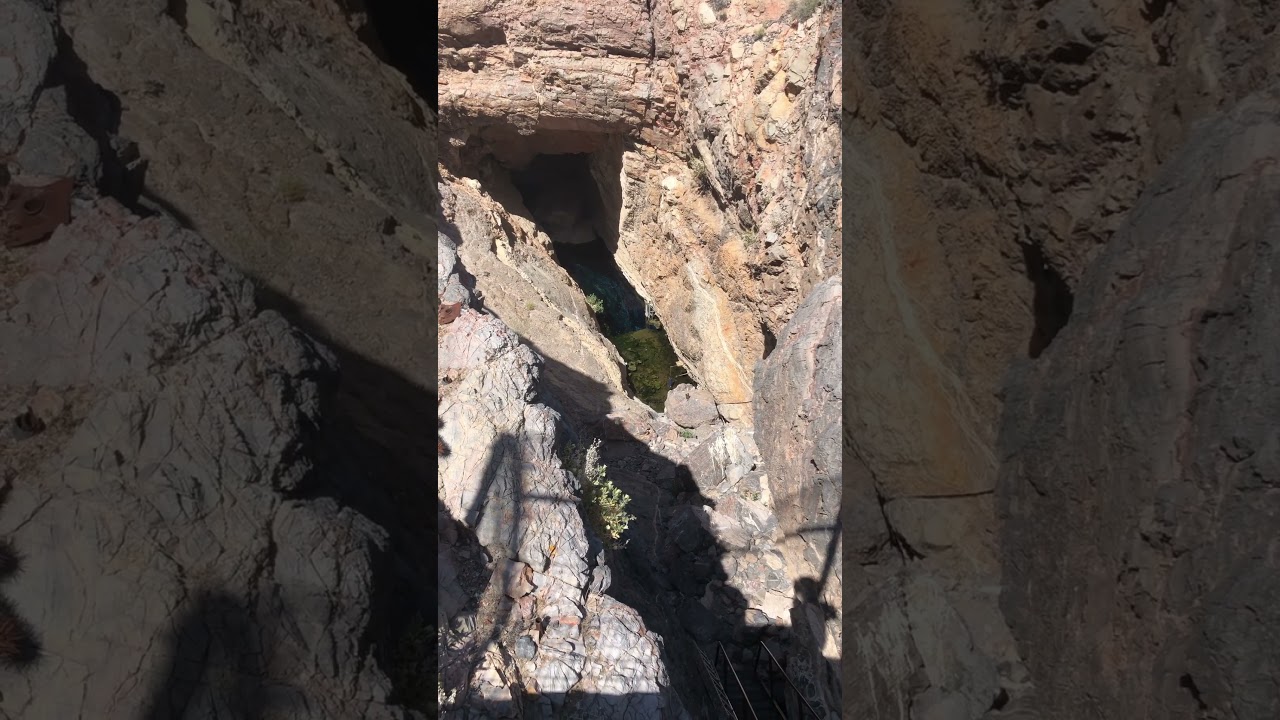 Devil&rsquo;s Hole Pupfish 🐟 Death Valley