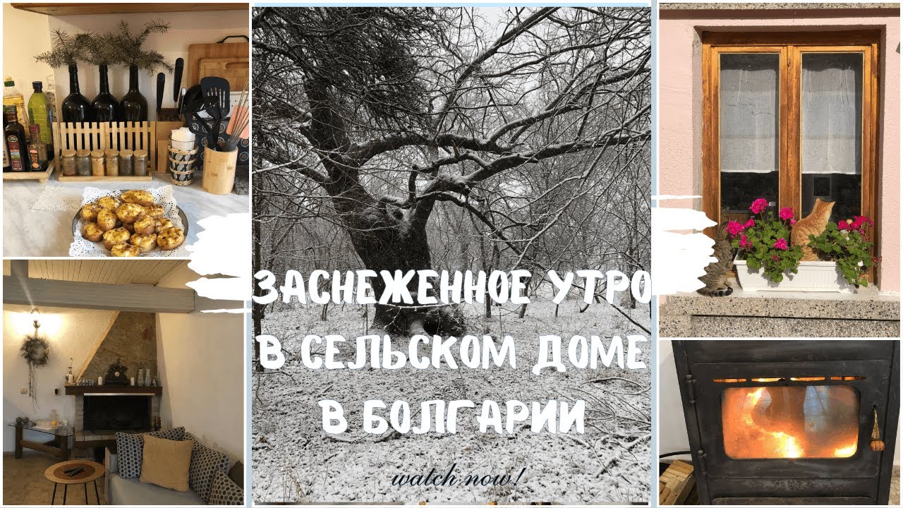 Заснеженное утро в сельском доме в Болгарии.         A snowy morning in a country house in Bulgaria.