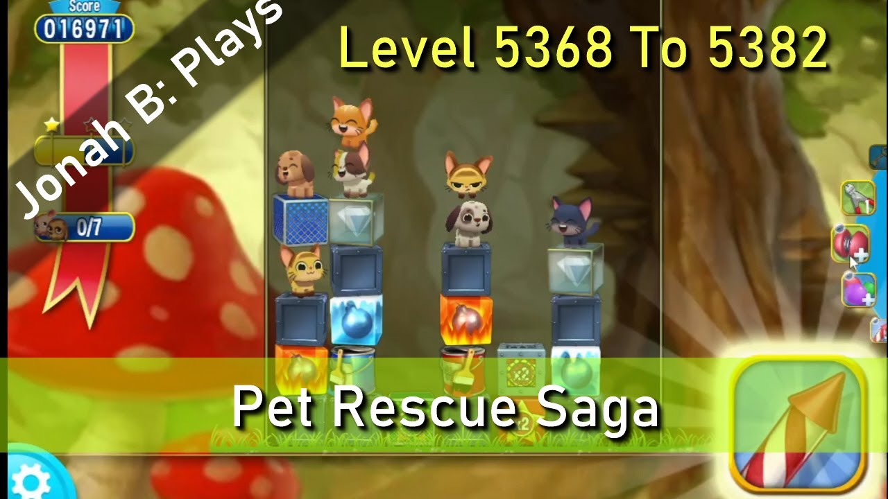 Pet Rescue Saga Level 5368 To 5382