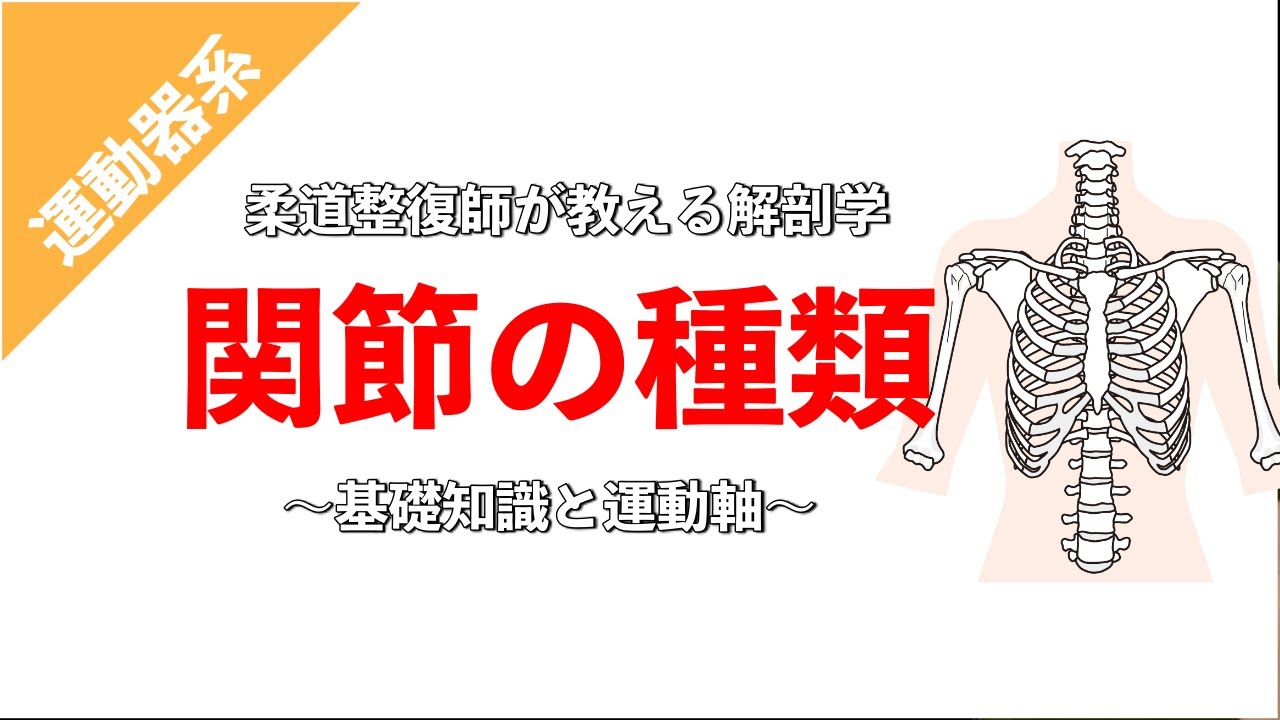 【柔道整復師が教える解剖学】運動を理解するために必要な関節の種類と軸の勉強【タロ塾#6】