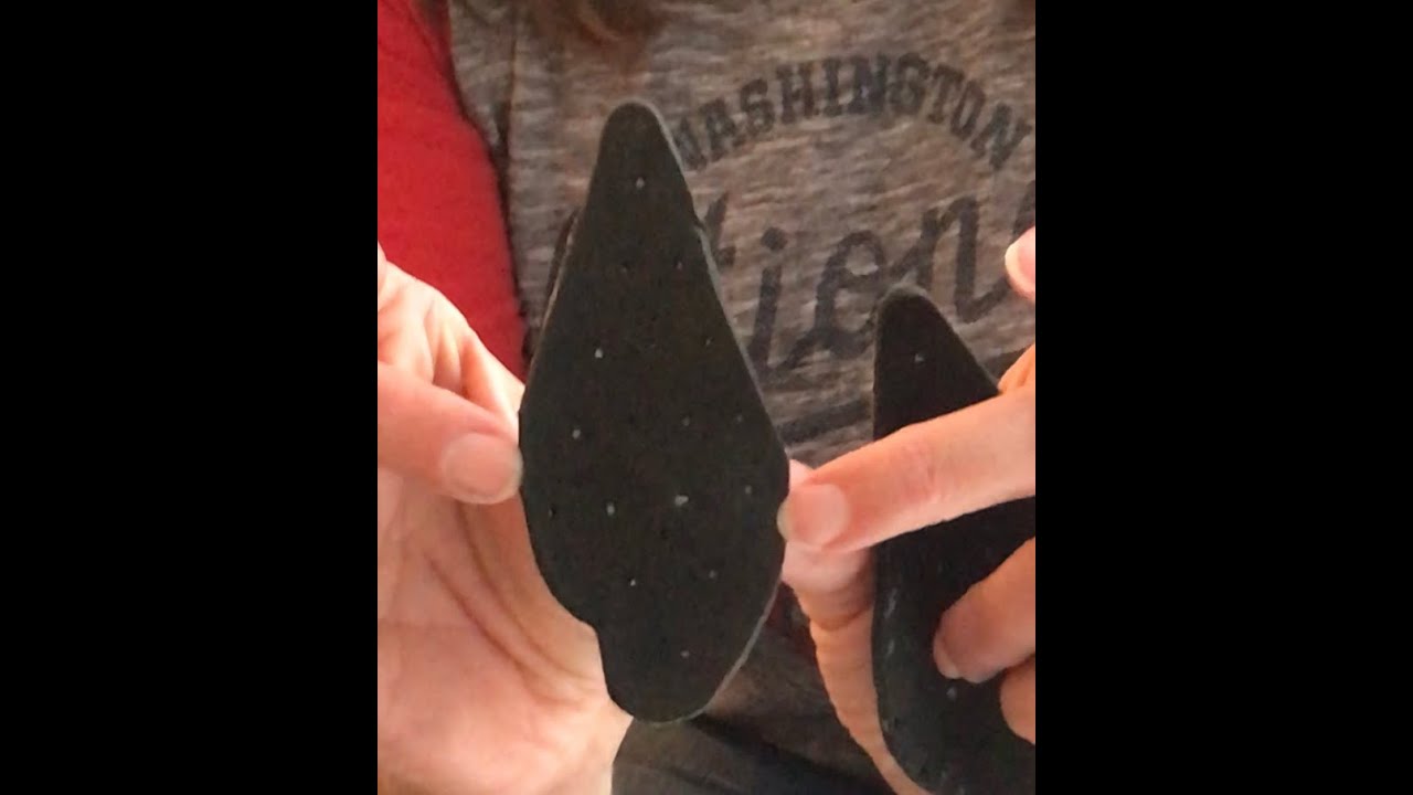 Applying German Shepherd Ear Supports for Floppy Ears