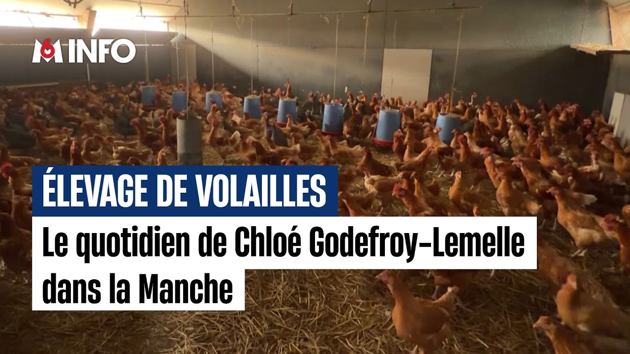 À la rencontre de Chloé éleveuse de volailles