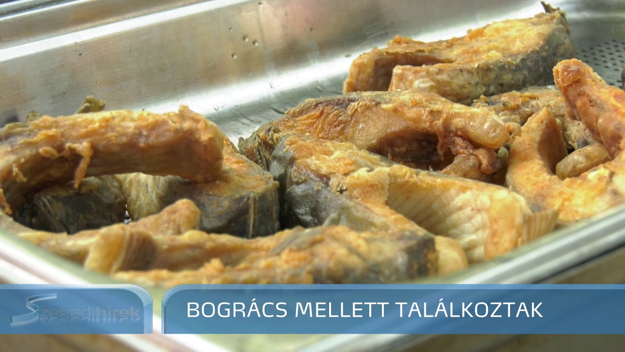 Közösségi találkozó volt a 22. Szegedi Halfesztivál szombati napja - Szegedi Hírek - 2018.09.03.