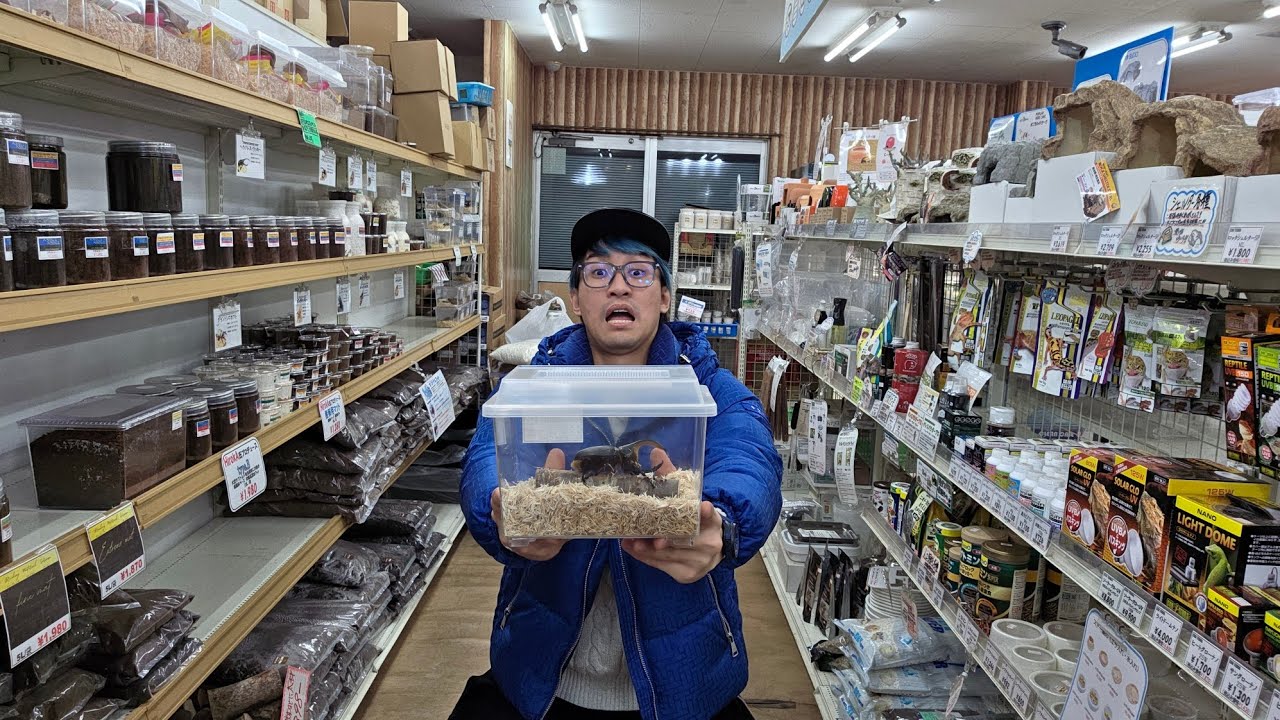 関東最大級の昆虫ショップにヤバい壁ができてました