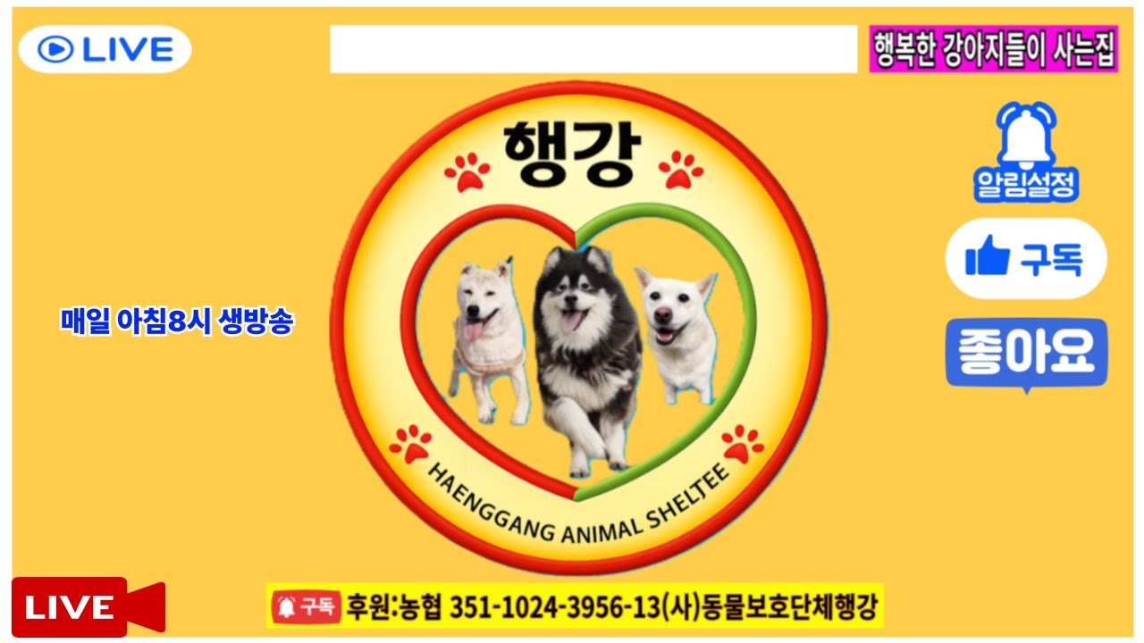보호중인 강아지들 일상 공개 라이브. #밥묵자 #입양홍보방송 #유기견보호소 #유기견 #유기견입양 #강아지 #반려견 #동물보호 #동물복지 #강아지입양#강아지일상