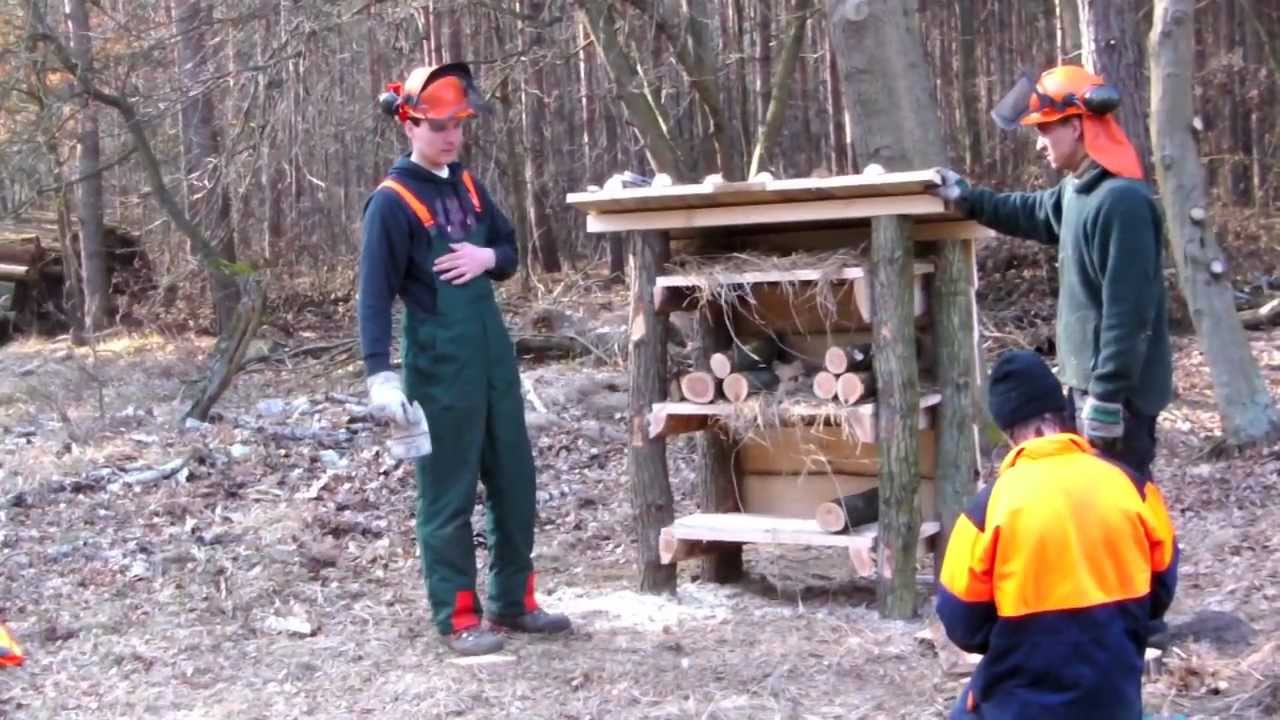 Der Landesforst Brandenburg Teil2