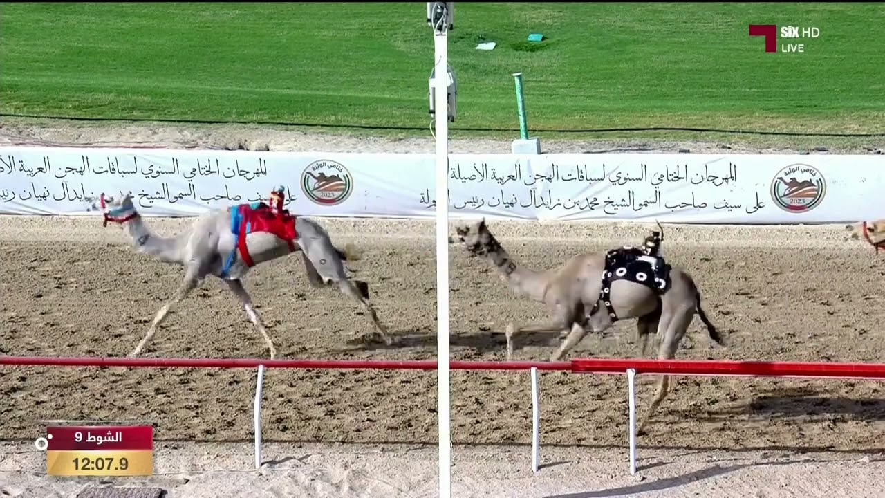 ملخص سباق الثنايا لأصحاب السمو الشيوخ (مهرجان ختامي الوثبة) صباح 2-5-2023