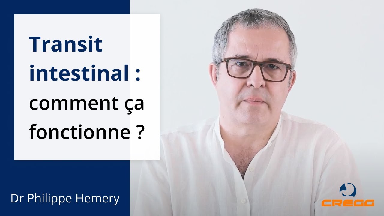 Transit intestinal : d&eacute;finition et fonctionnement du tube digestif