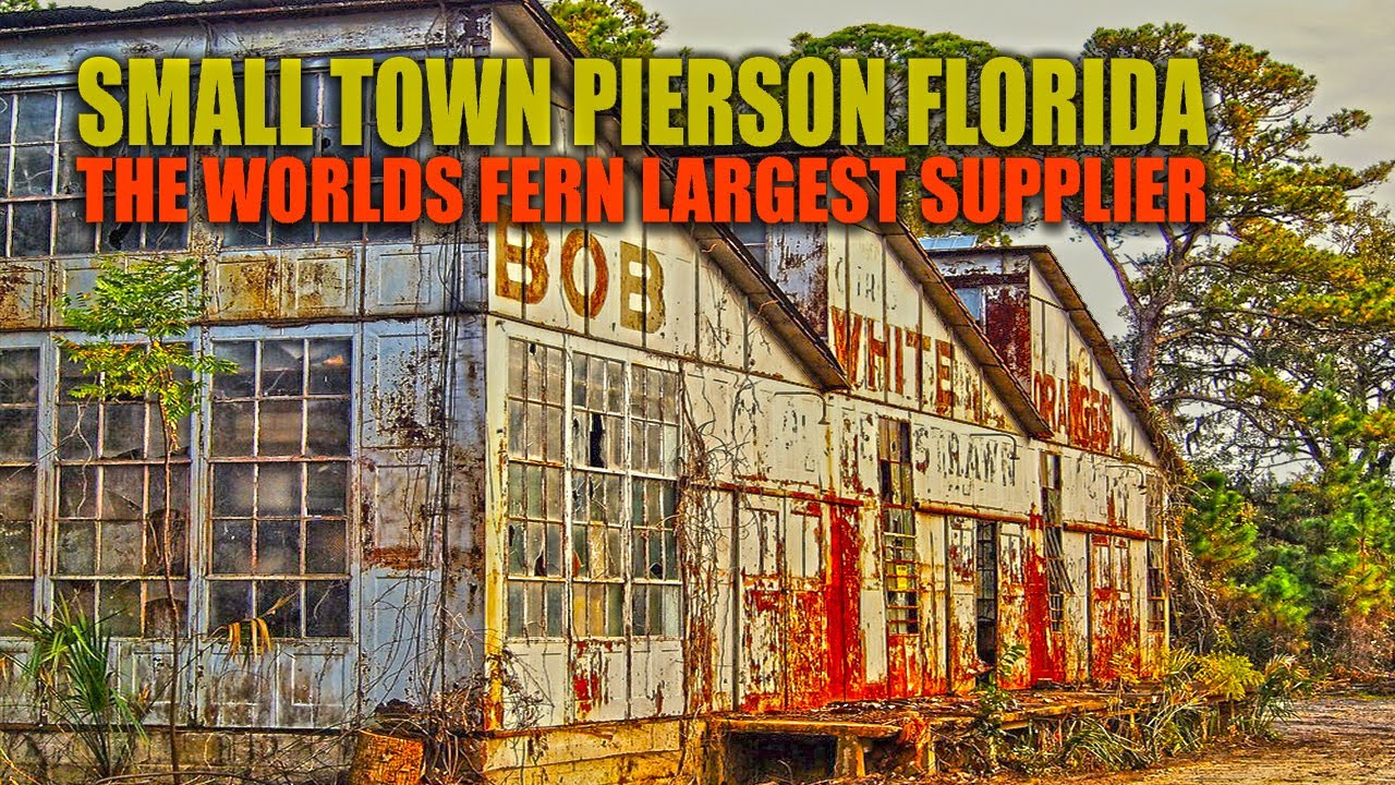 Pierson Florida: A Rural Town What's The Fern Capital Of The World