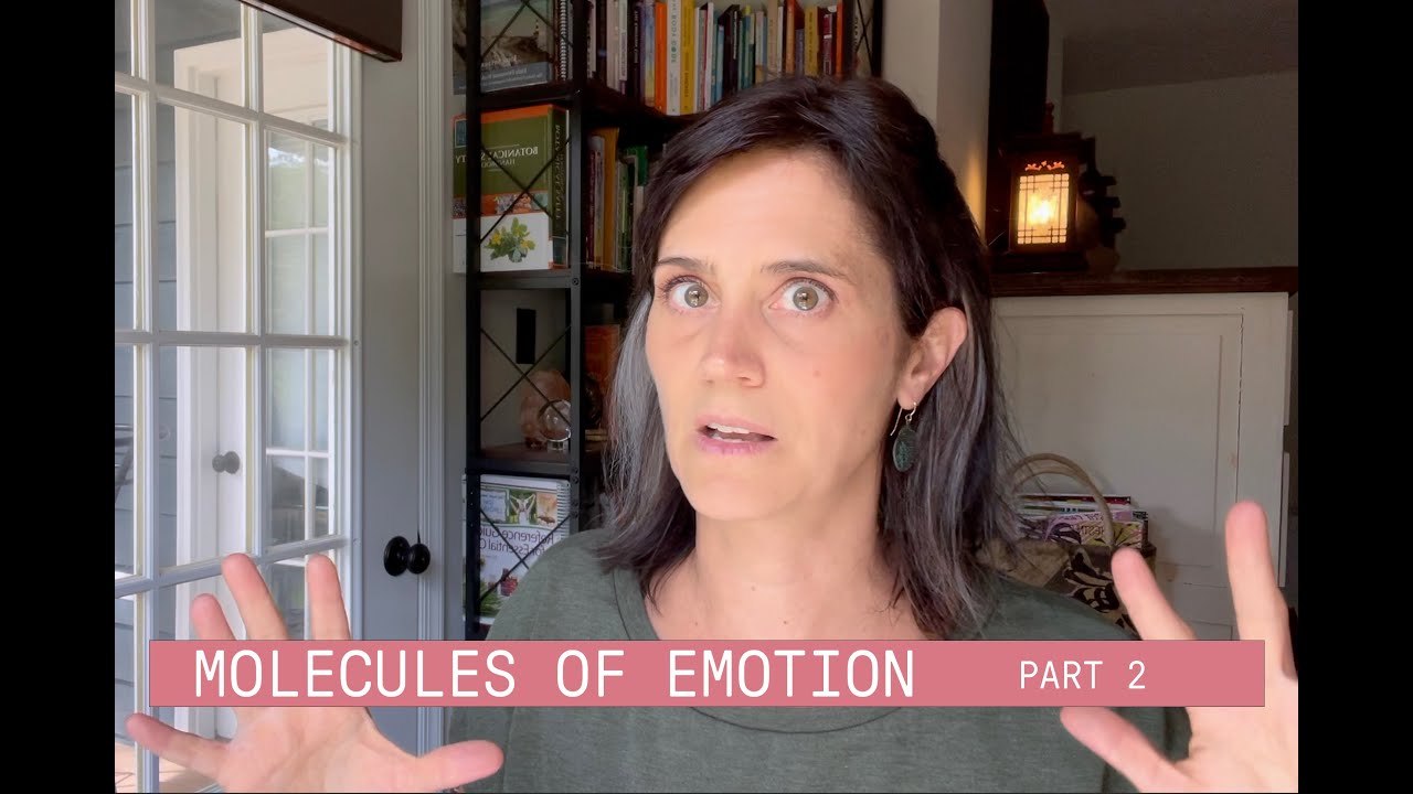 Molecules of Emotion Part 2