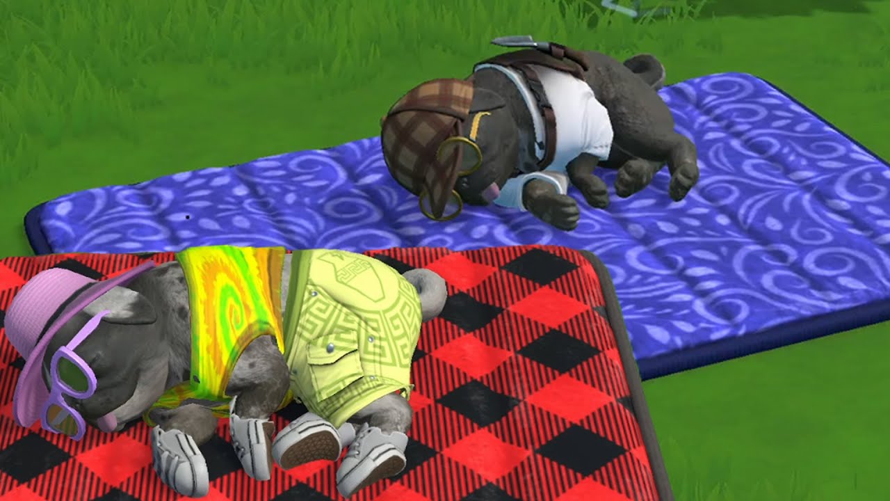 Pug Pups on Puppy Island
