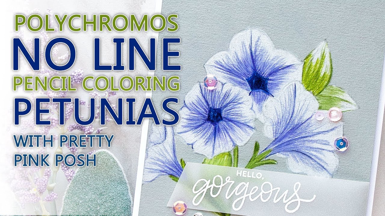 No Line Polychromos Pencil Coloring - Pretty Petunias by Pretty Pink Posh