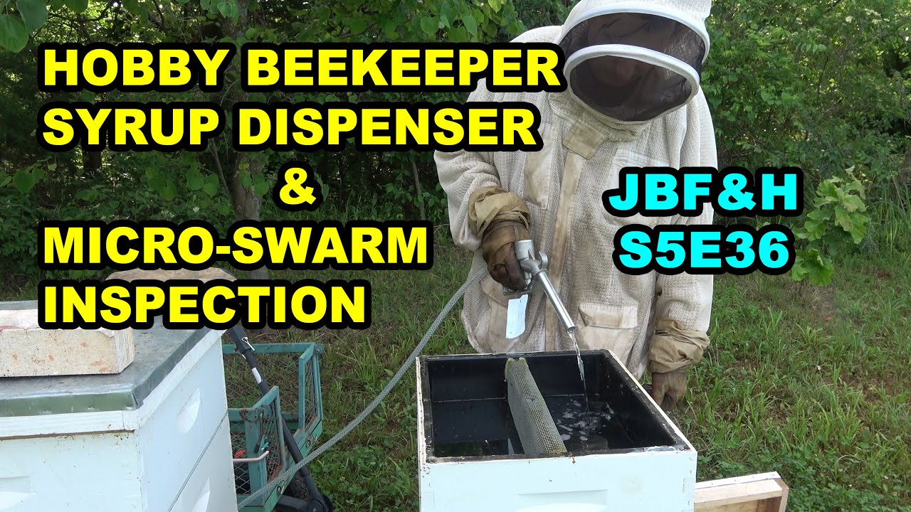 Hobby Beekeeper Feed Dispenser & Micro Swarm Inspection S5E36 #beekeeping