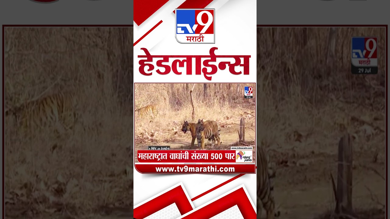 Tv9 Marathi News Top Headline Today | 29 July 2026 |  4 Minute 24 Headline Maharashtra