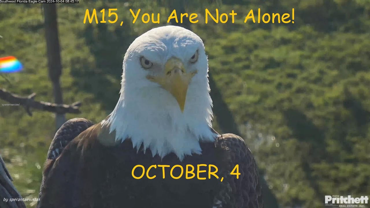 SWFL Eagles - Was That You, Mom!? A Moment Of Silence. M15, You Are Not Alone!💞
