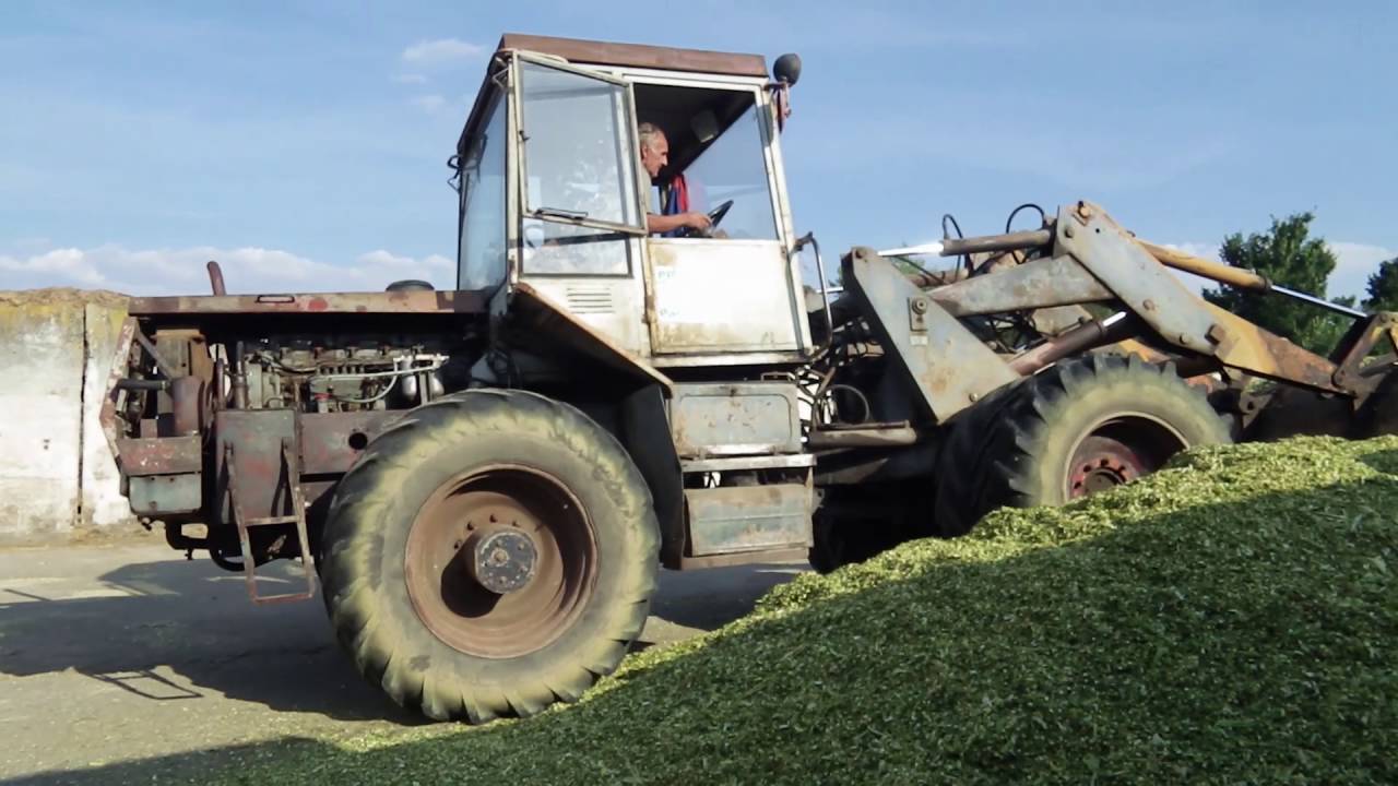 CORN SILAGE 2015
