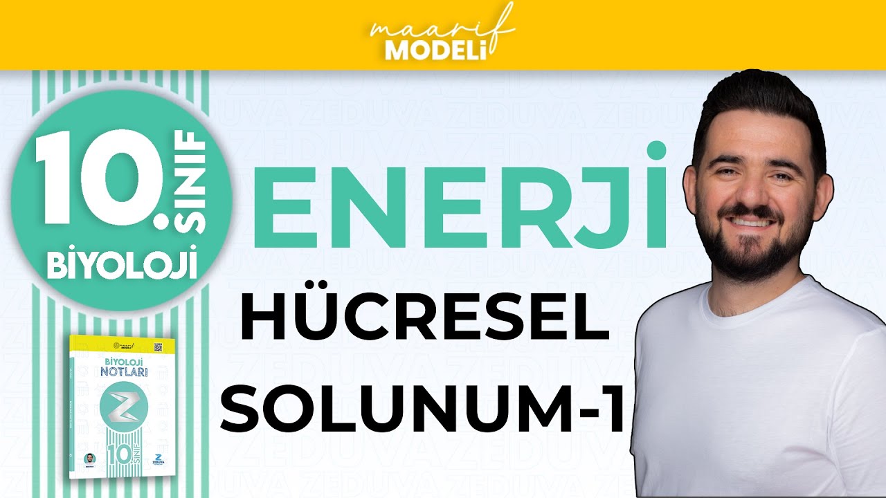 Oksijenli Solunum-1 | Enerji 1.Ünite | 10.sınıf biyoloji maarif model | ZEDUVA
