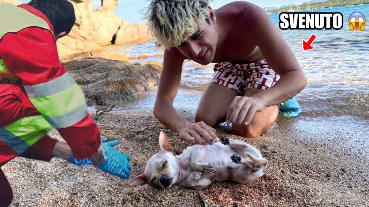 IL NOSTRO CAGNOLINO È SVENUTO AL MARE! FA TROPPO CALDO? 😰