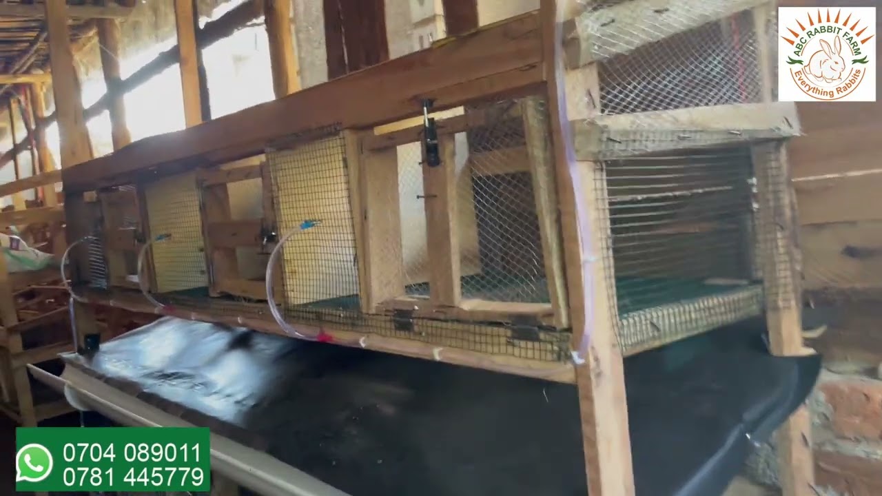How To Build self-cleaning Rabbit Cage Using Wood and coated iron mesh | Cheap and Easy Build