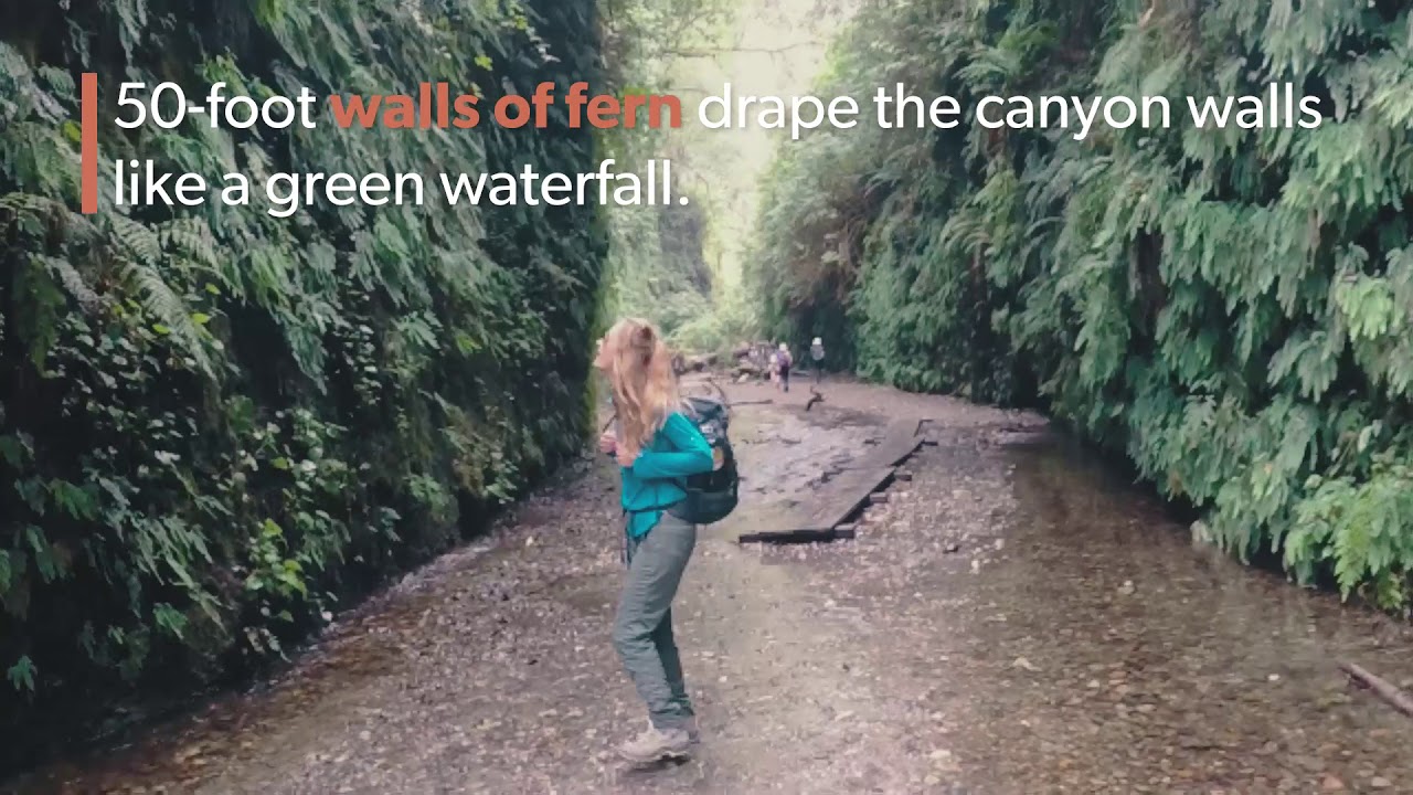 Humboldt County Adventures: From Redwoods to Coast