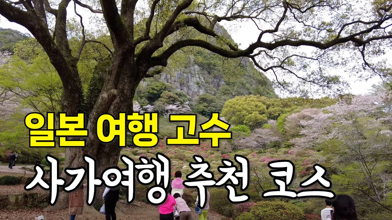 [일본-사가여행 가이드] 사가여행 맛집, 렌트카, 주변 관광지 총정리