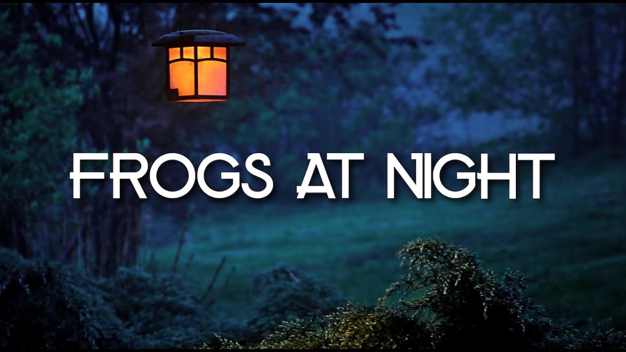 FROGS AT NIGHT | 3 HOURS OF CRICKETS AND TREE FROGS, FOR RELAXATION, MEDITATION, YOGA, STUDY, SLEEP