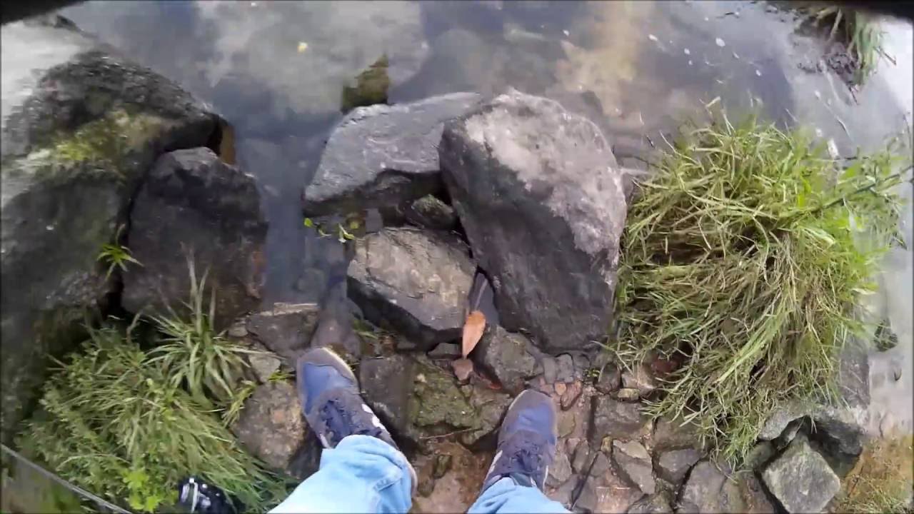 Pesca no Douro
