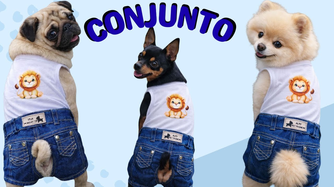 Conjunto Pet Short Jeans + Regata em Malha