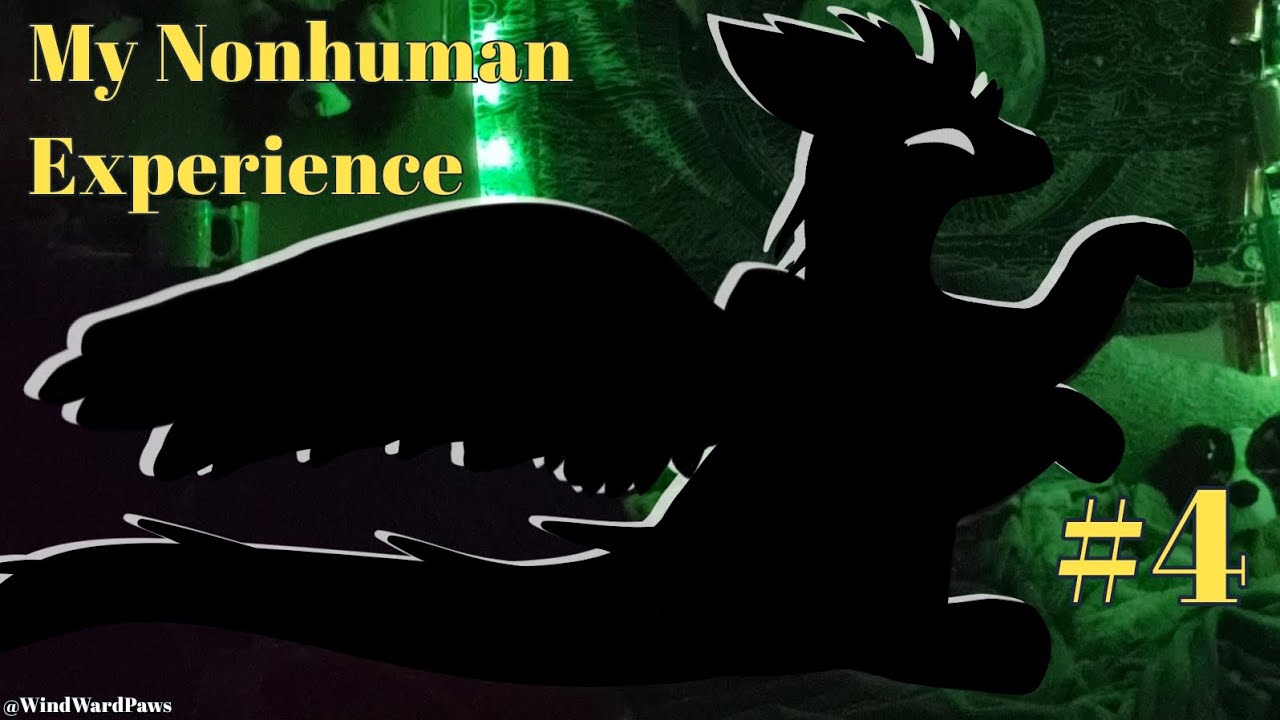 My Nonhuman Experience || Episode #4